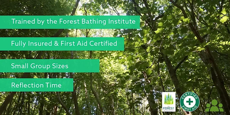 Forest Bathing+ in Bevendean Woods–Slow Down, Breathe Deeply, Feel Restored