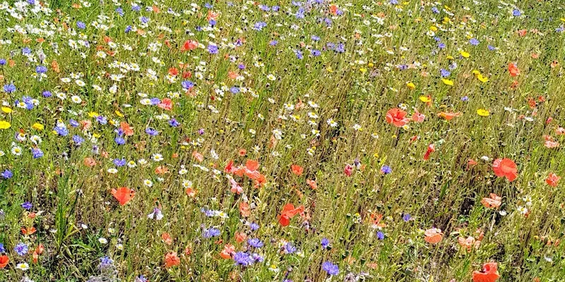 Arthur's Seat Fitness