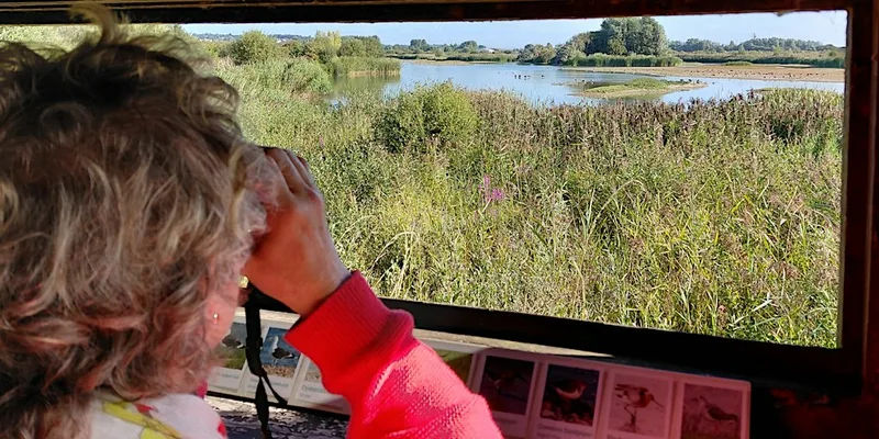 Castle Water Bird Walk at Rye Harbour Nature Reserve (420337035)