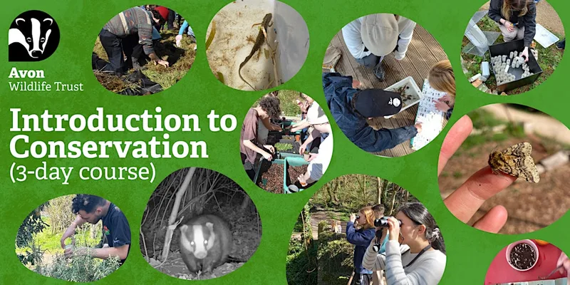 Introduction to Conservation (3-day course) for 16-30 yr olds