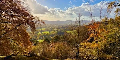 Autumn Retreat