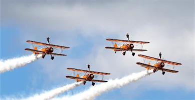 Wing Walk -August 2026 - Forget Me Not Children's Hospice