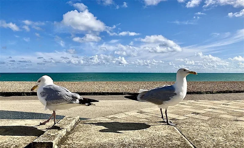 Landscape Photography Walk - Hove To Brighton Marina with Eva Kalpadaki
