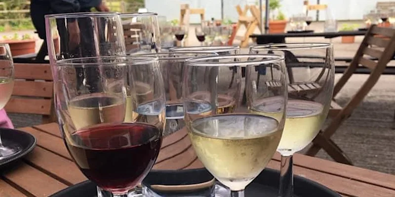 Sip and stroll: wine tasting and trail