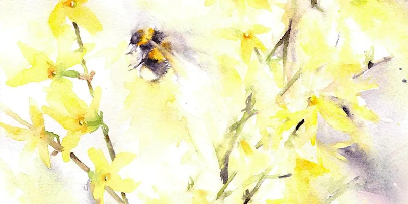 Attenborough in Watercolour - Painting Workshop