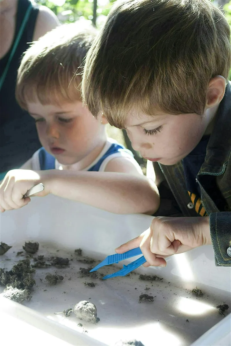 Bones and body bits (Family event) NWT Holme Dunes