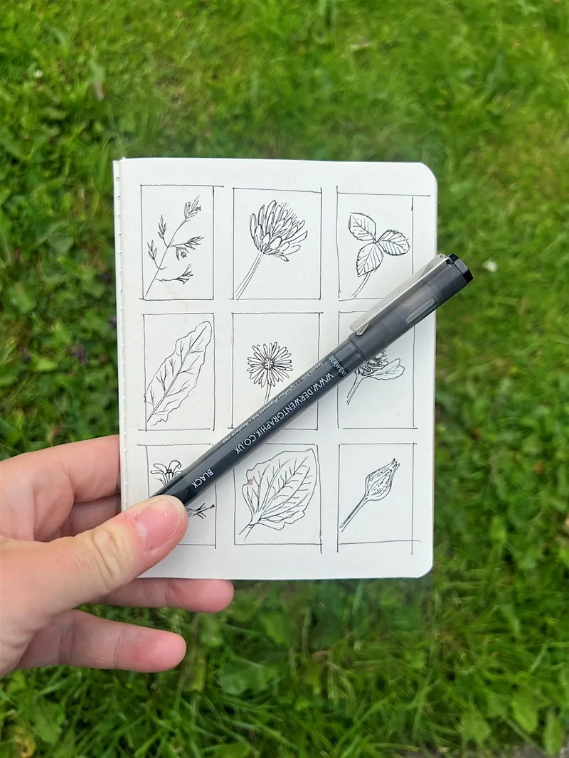 Mindful Sketching Workshop