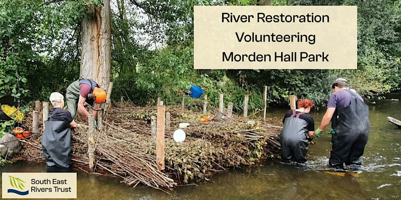 River Restoration Volunteering at Morden Hall Park - River Wandle