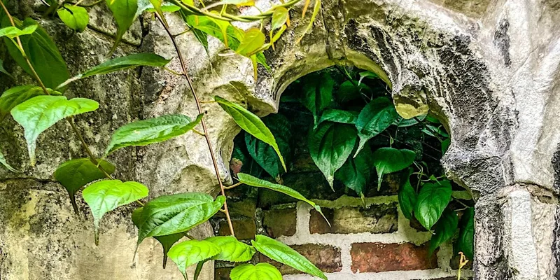 Introduction to Mindful Photography at Fulford Art Fair