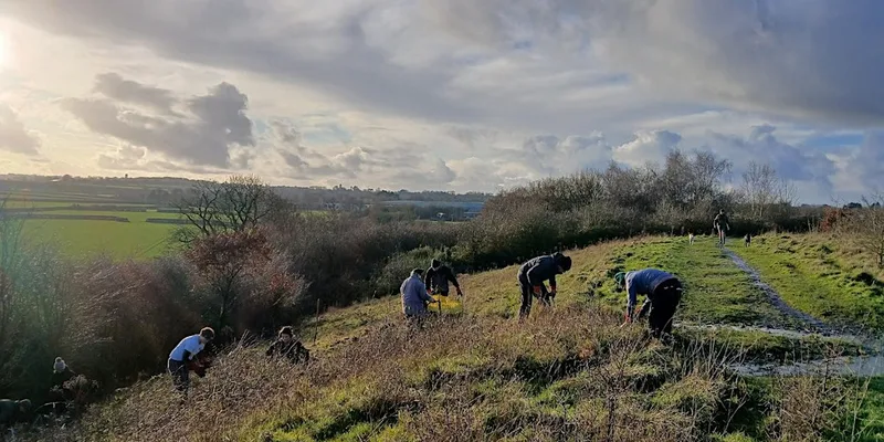 Grassland Restoration at Sea Stores Nature Reserve