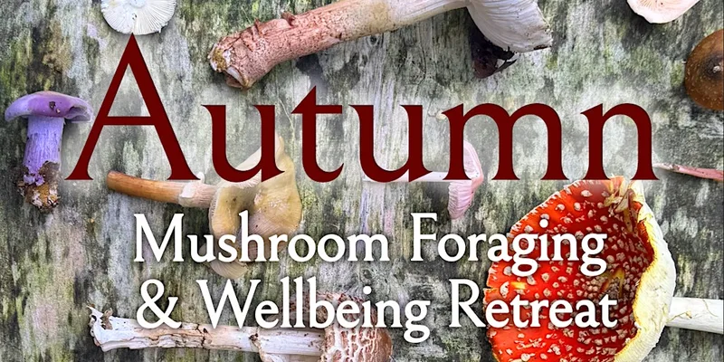 Autumnal Woodland Mushroom Foraging Retreat