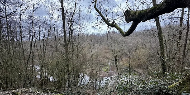 Citizen Forester Woodland Management at Daisy Nook, Oldham