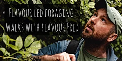 Flavour-Led Foraging Walk, Plants, Fungi, History & Folklore -FUNGI FOCUSED