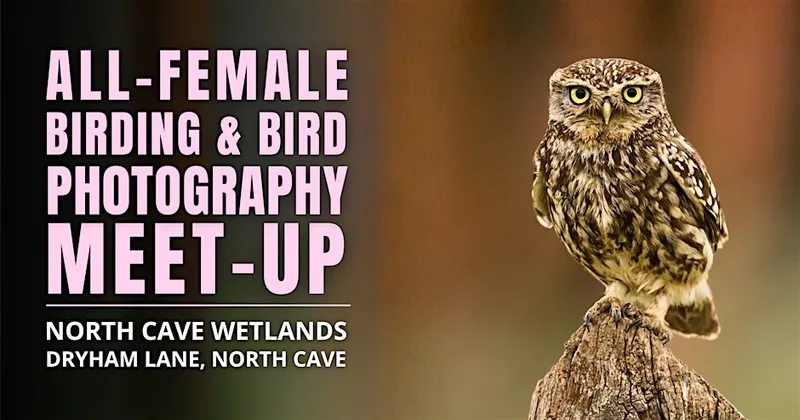 All- Female Birding & Bird Photography Morning