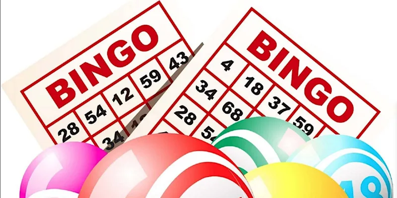 Boozy Bingo & Day disco