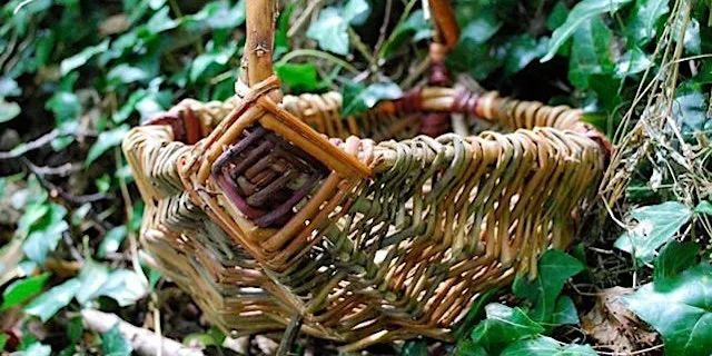 Willow Foraging Basket