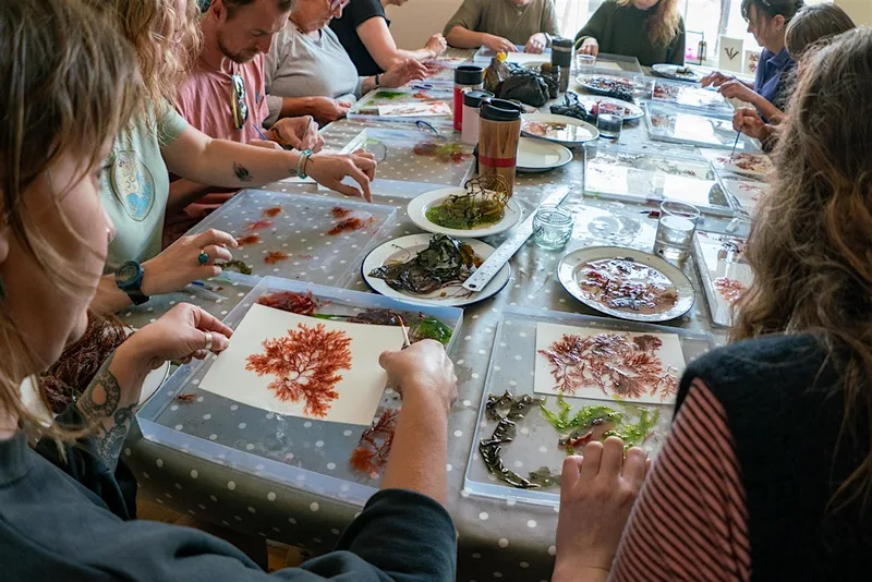 Seaweed Pressing with Molly Macleod