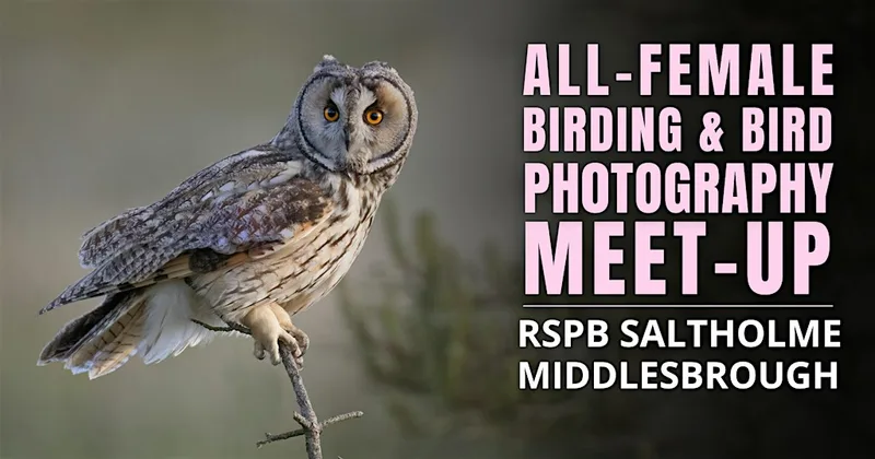 All-Female Birding & Photography Morning