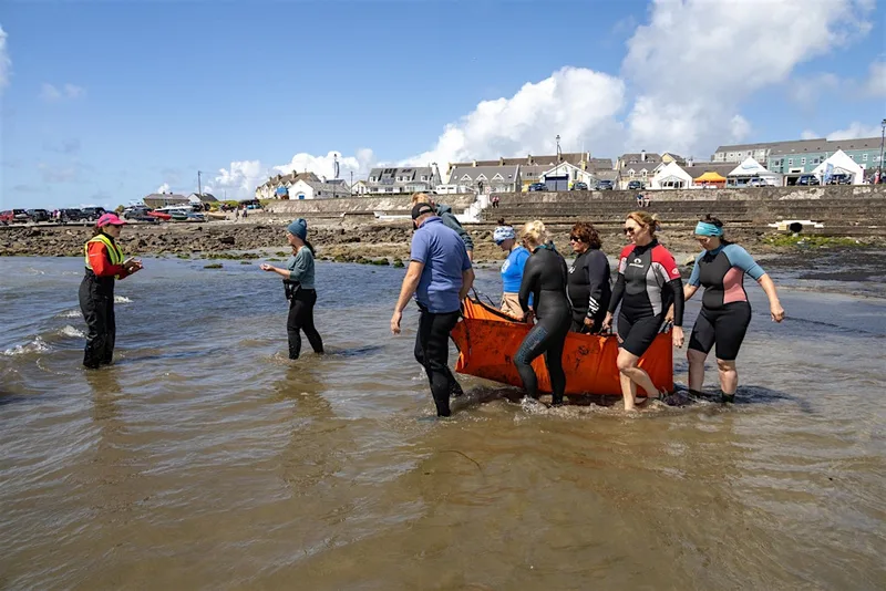 Cork IWDG Cetacean Live Stranding Training (blended learning)