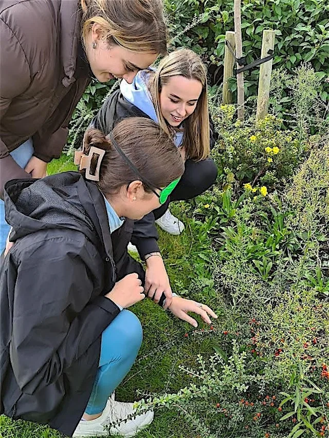 LJMU Wellbeing Garden: Growing Connections
