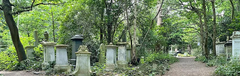 Abney Park Litter Picking (Run by APT)