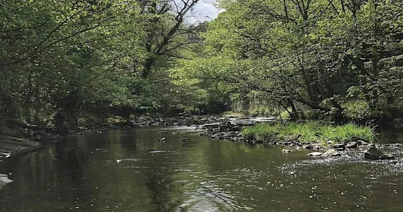 POETRY BY THE RIVER