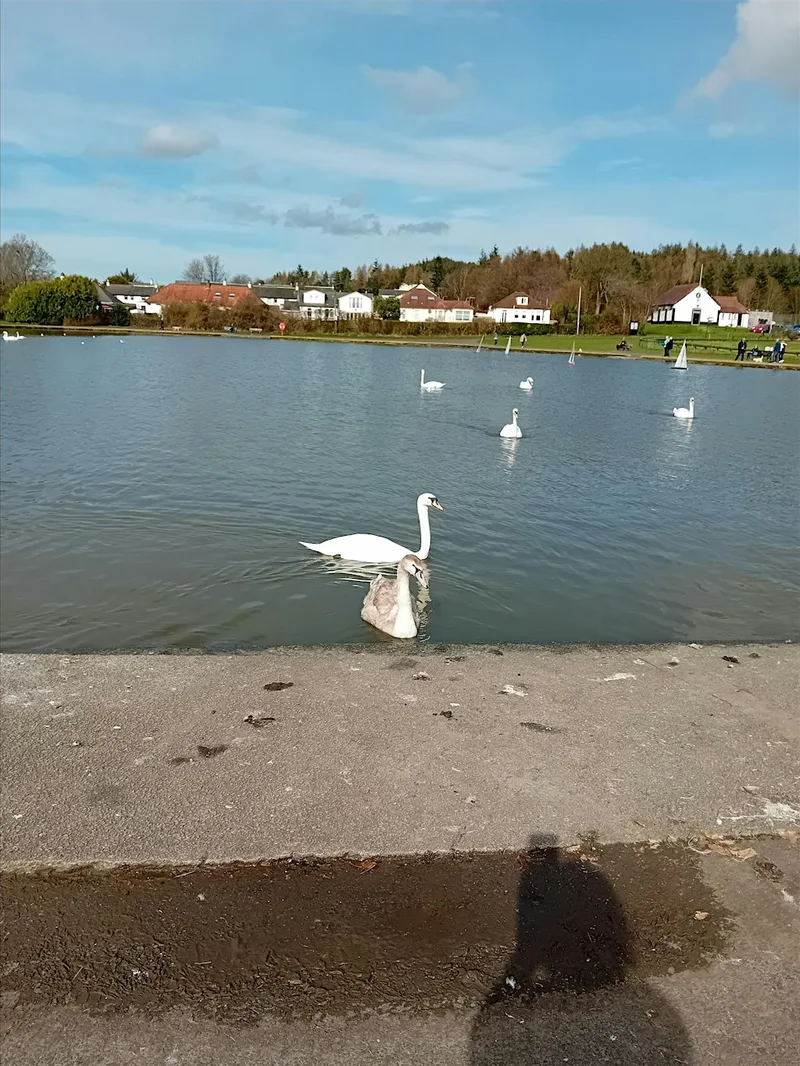 Mindful Walk Connecting with Nature
