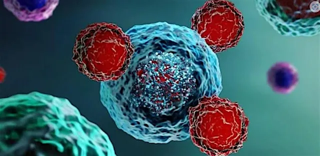Study Morning on Immune Checkpoint Inhibitors in Cancer Management