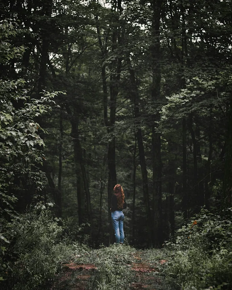 Forest Bathing & Wild Swim Chipping Norton