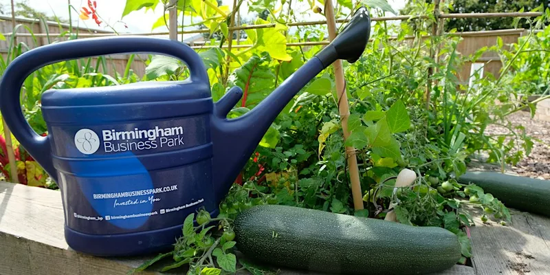 Birmingham Business Park Allotment Club September