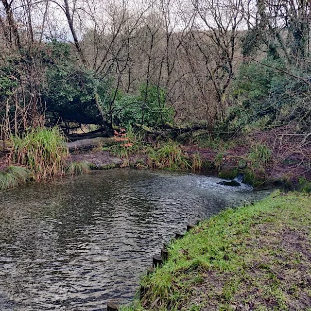 5 Springs Pilgrimage Walk