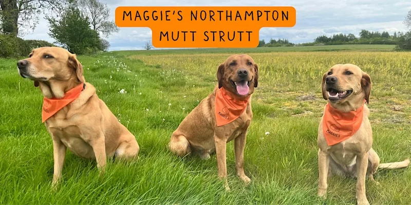 Mutt Strutt Northampton 2026