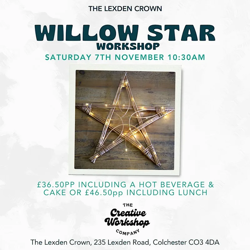 Willow Star with Lights Workshop
