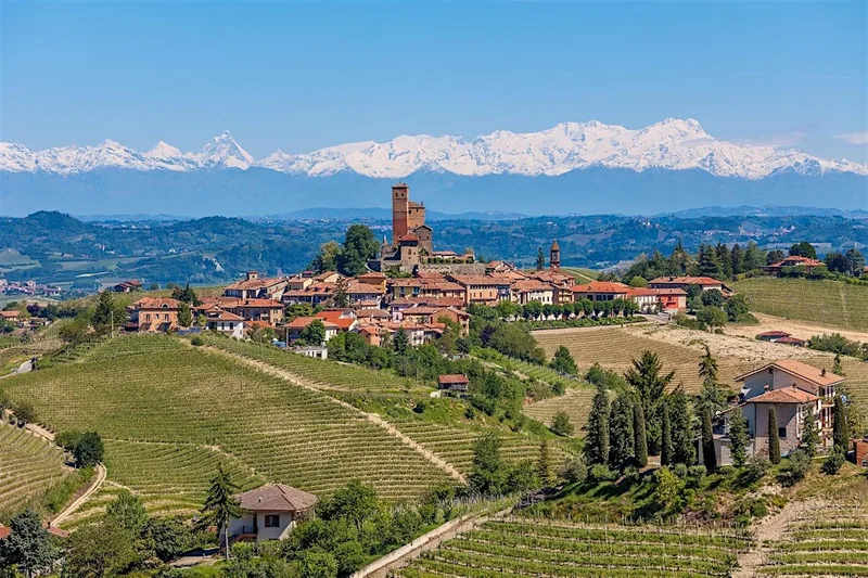 Wine Tasting: "Piedmont's Underdogs"