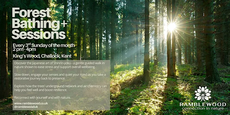 Forest Bathing+ Session - King's Wood, Challock