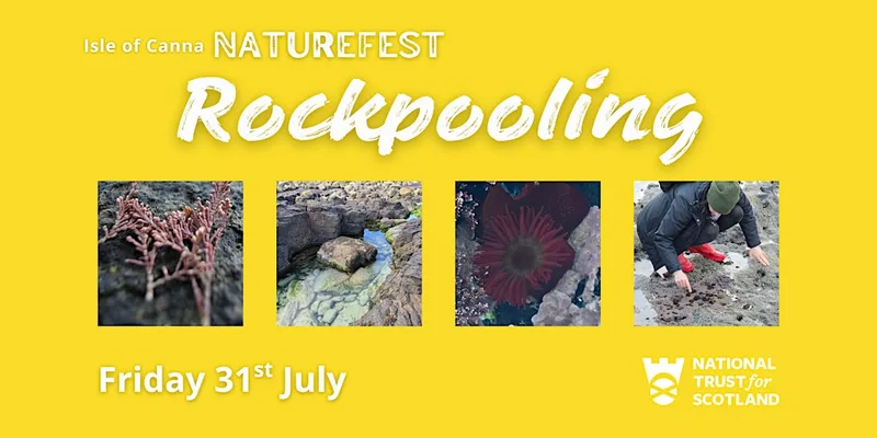 Rockpooling and Exploration!