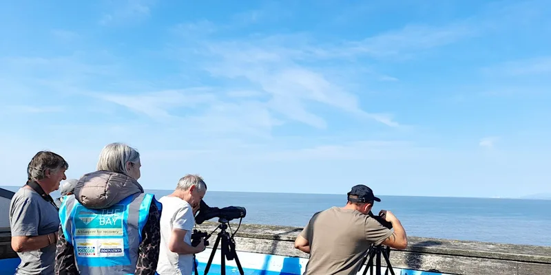 Wyre Sea Watch