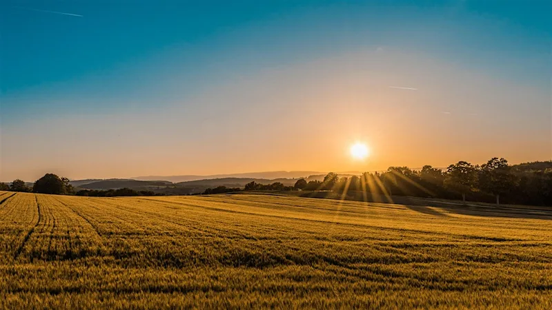 Practical Wisdom for a Renewing Church: An evening with Elaine Heath