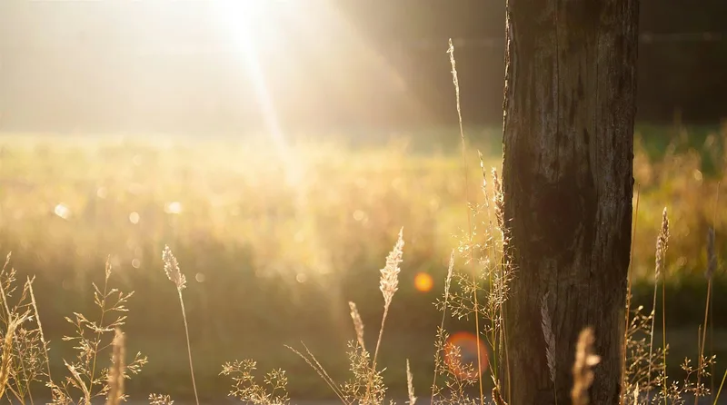 3-day Business Growth in Farming