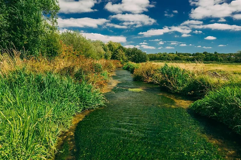 Guided walk at Winnall Moors Nature Reserve