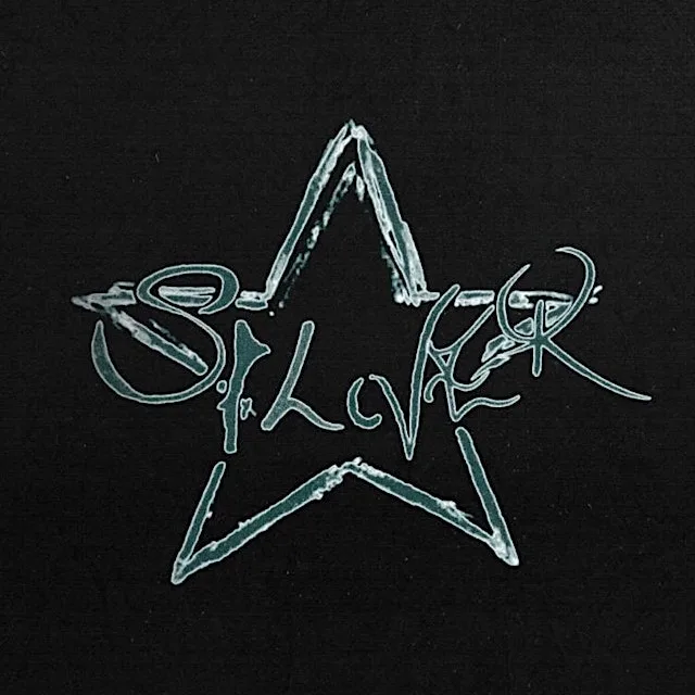 Silver Live at The Roundy