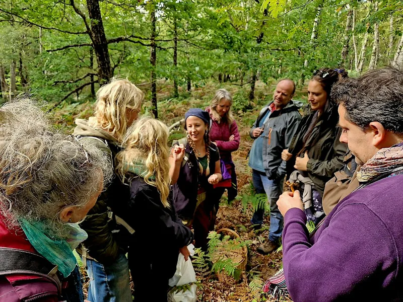 Fungi ID Walks - Sundays Yarner Wood