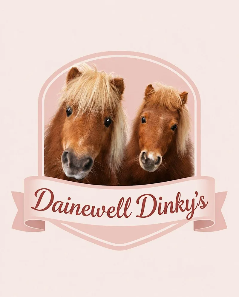 Pony fun Sundays - A heart warming pony experience.