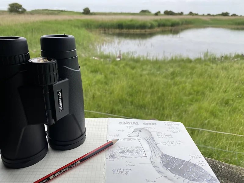An Introduction to Nature Journaling