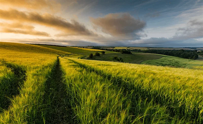 Lincoln Hike Club - LHC BIG HIKE 8- Nettleton & Wolds Circular 4.0