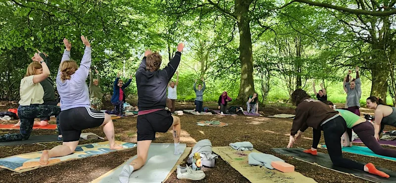 Yoga & Forest Bathing in the Woods