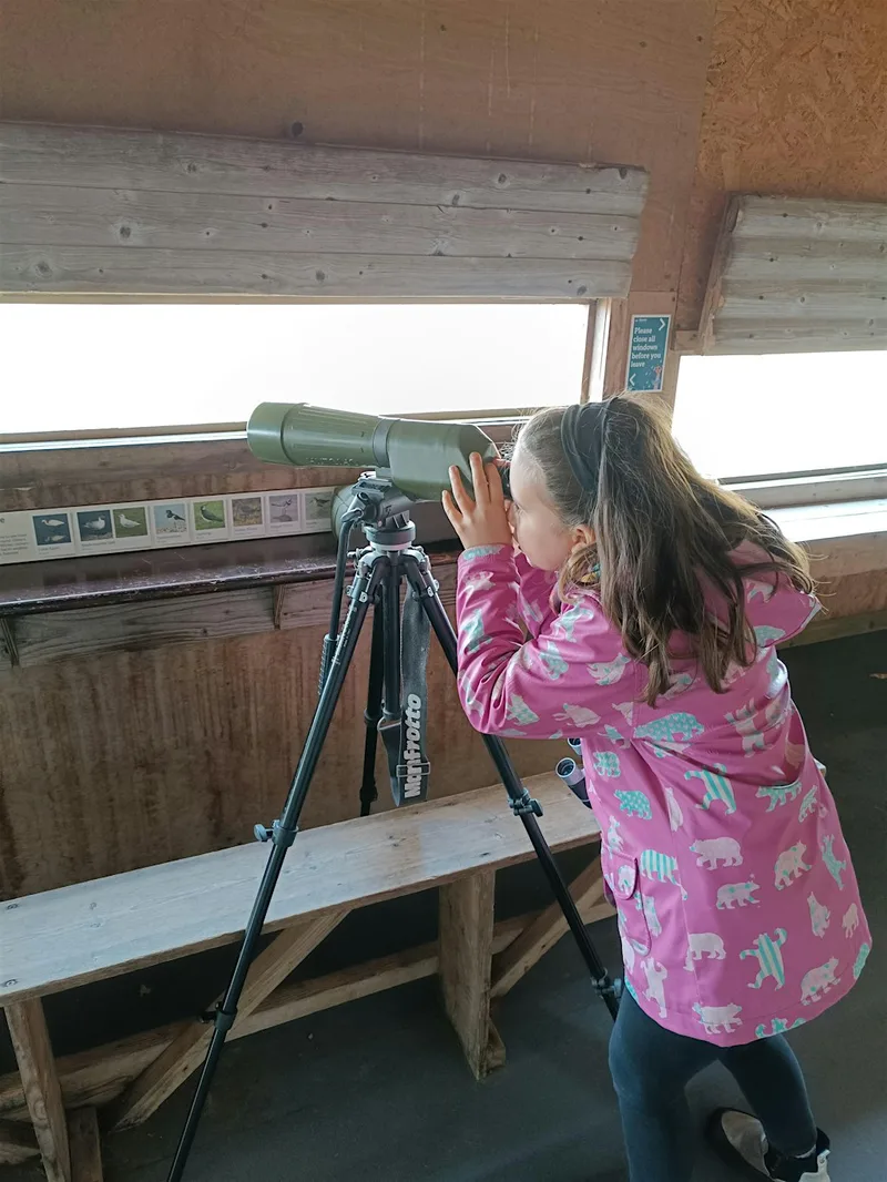 Wildlife Watch: Wild about Birds at Rye Harbour (420337035)