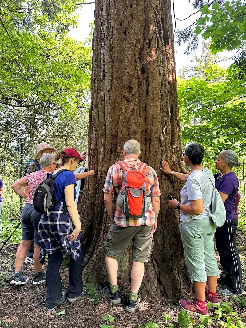 Clifton Grove & Woods Circular Walk, Including the Giant Sequoias