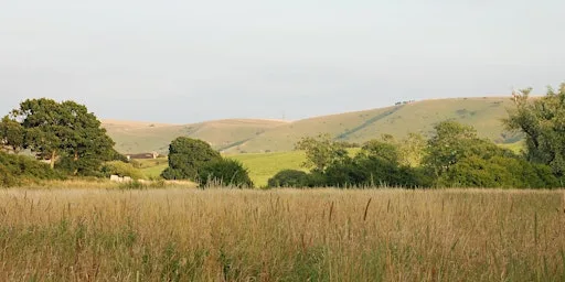 Depicting Landscape in Art – Early Autumn Colour, Henfield (100337035)