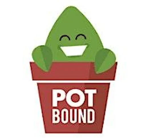 Arts and Crafts Sessions by Pot Bound